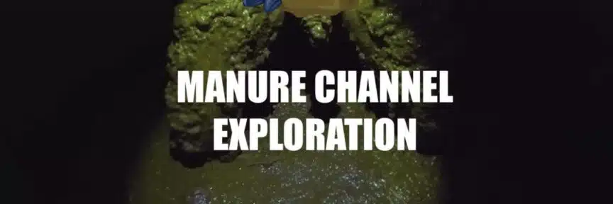 manure channel exploration