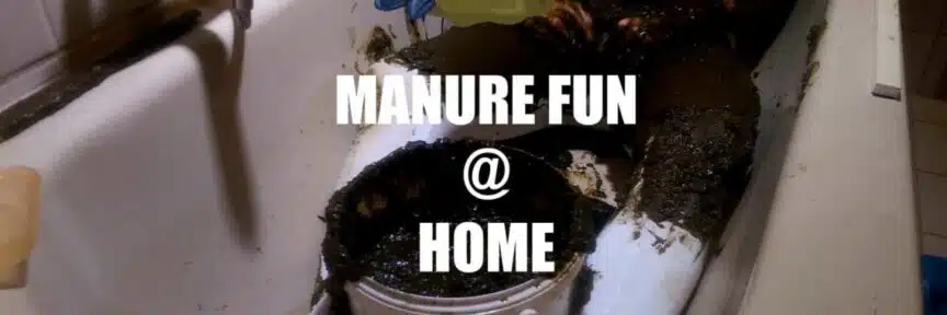 manure fun at home