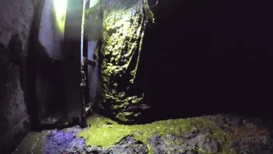 manure pit and channel ladder in the manure pit