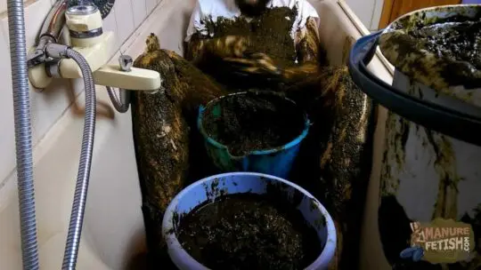 three buckets at home filled with fresh cow dung