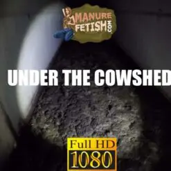 under the cowshed