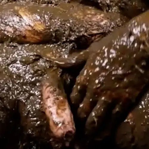 Eating in the Channel