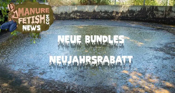 neue bundles und neujahrsrabatt