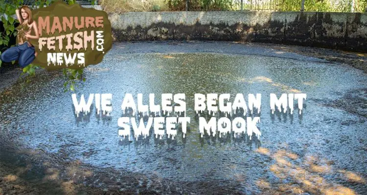 wie alles began mit sweet mook