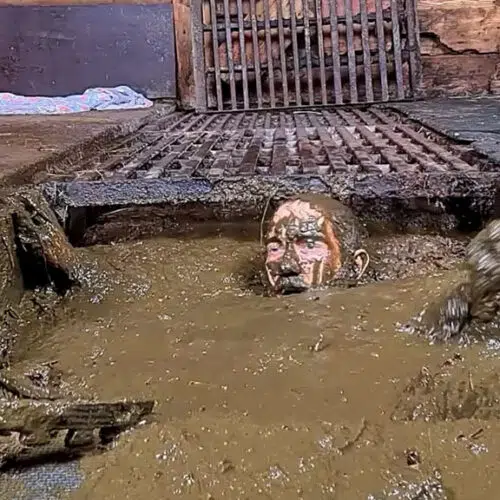 Se branler dans le fumier