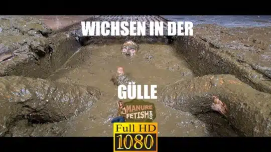 wichsen in der gülle