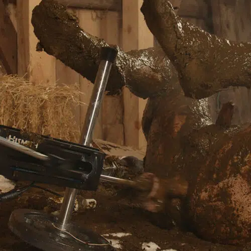 フランキーの牛糞ファックマシン