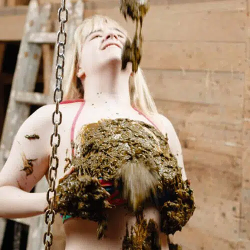 Manure Shower