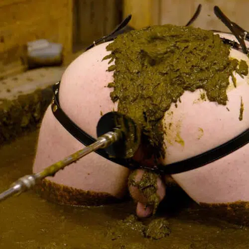 Five Prostate Orgasms in Cow Dung