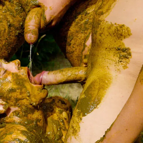 Sun and Dung Bathing