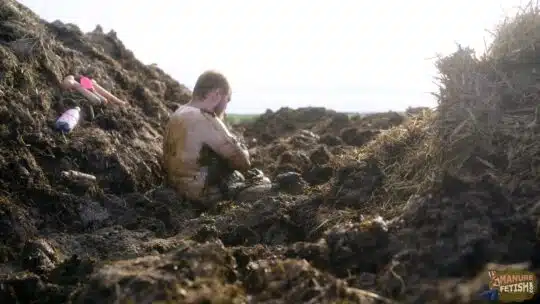 ON TOUR: Digging in the dung pile - Image 5