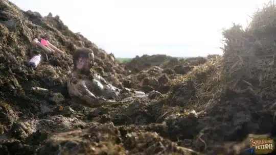 ON TOUR: Digging in the dung pile - Image 6