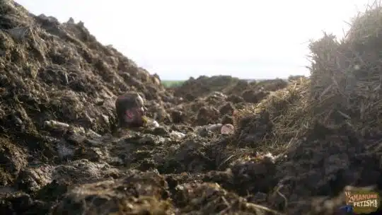 ON TOUR: Digging in the dung pile - Image 7