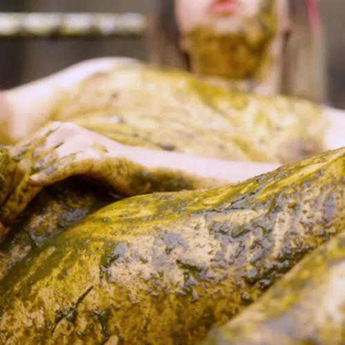 Figa ripiena di sterco