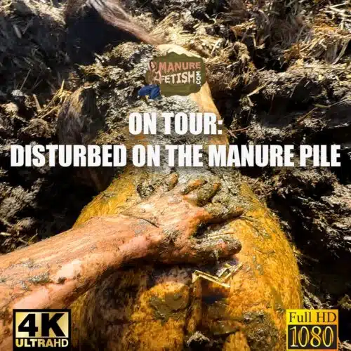 ON TOUR: Disturbed on the manure pile