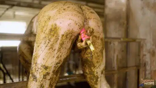 Farmer's Wife In The Calf Shed - Image 19