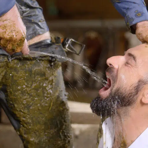 L'affaire des bouses sales