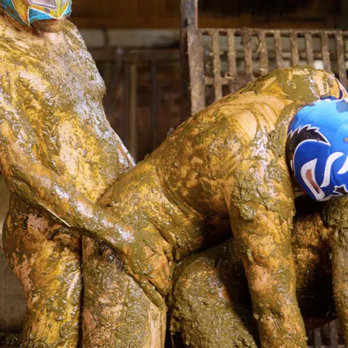 マニュアスポーツ男子レスリング