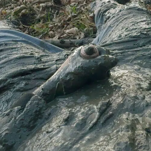 泥んこ牧草地への旅