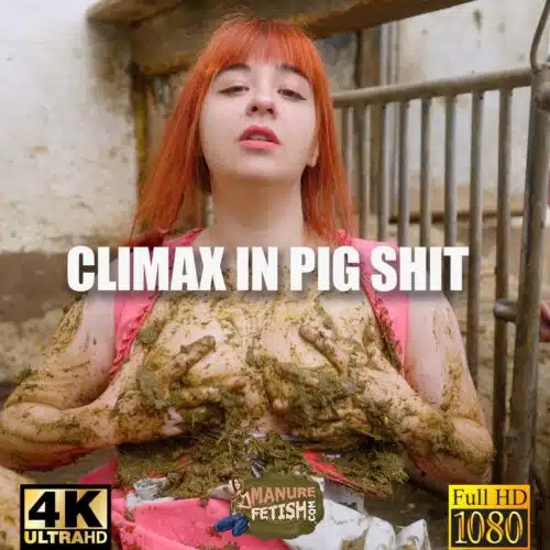 Climax In Pig Shit