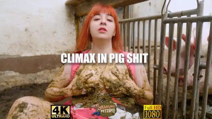 Climax dans la bande-annonce de la merde de porc