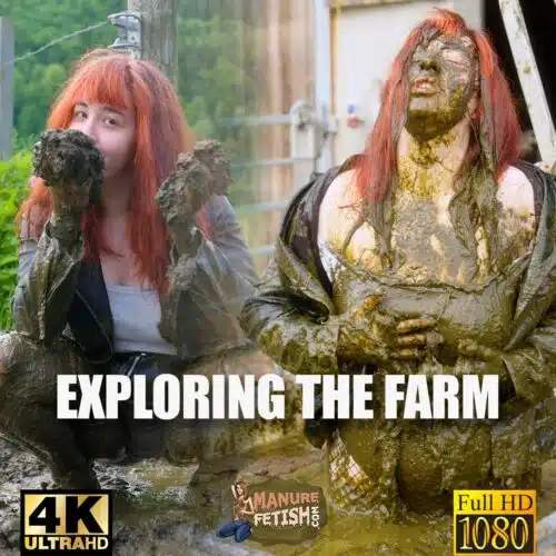 Exploring The Farm