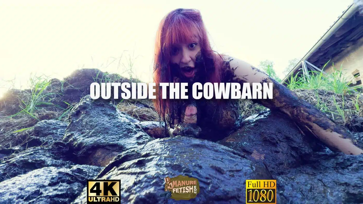 Outside The Cow Barn