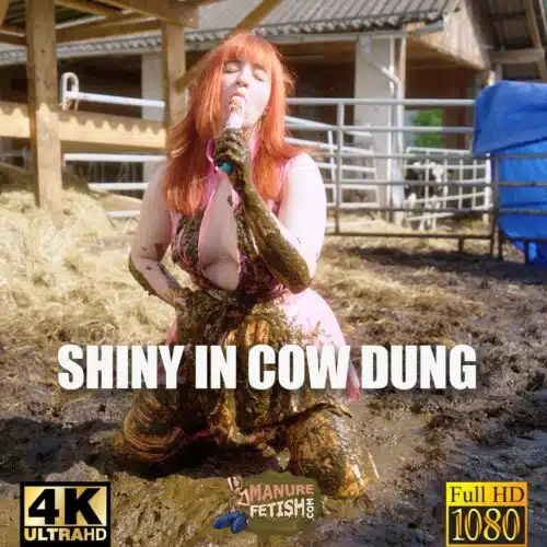 Shiny In Cow Dung