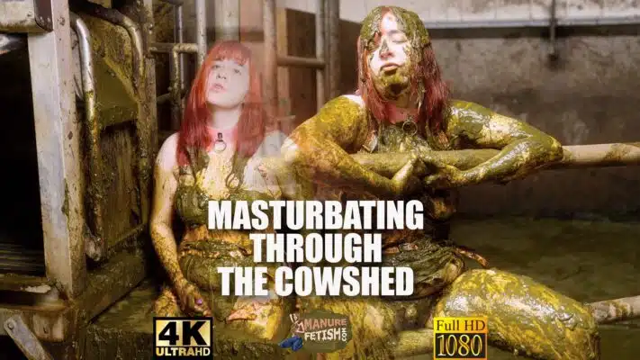 Masturbating Through The Cowshed