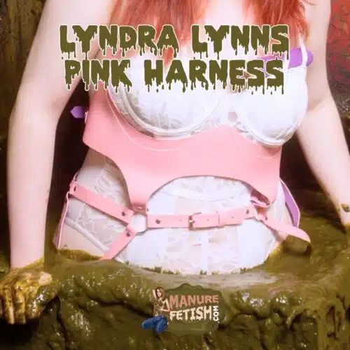 Lyndra Lynn's Harness