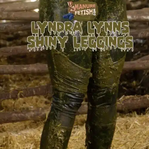 Lyndra Lynn's Shiny Leggings