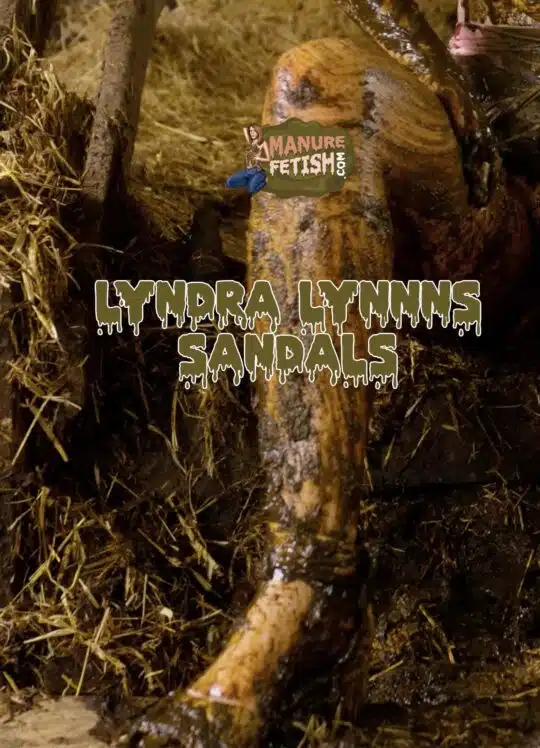 Lyndra Lynn’s Sandals