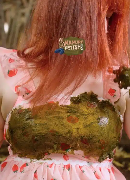 Lyndra Lynn’s Strawberry Top - Image 4