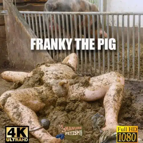 Franky The Pig
