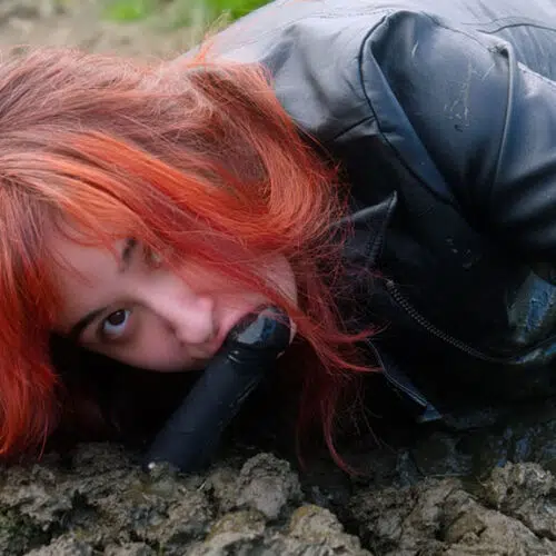 Esplorare la fattoria