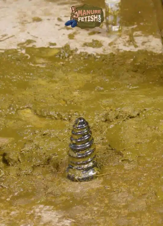 Kyra Sex´s Anal Plug - Image 3