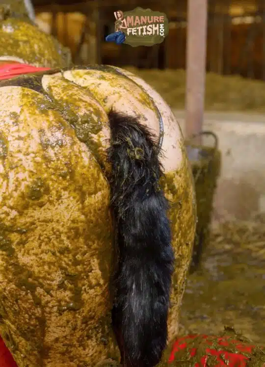 Brooke Maddison´s Fox Anal Tail - Image 3