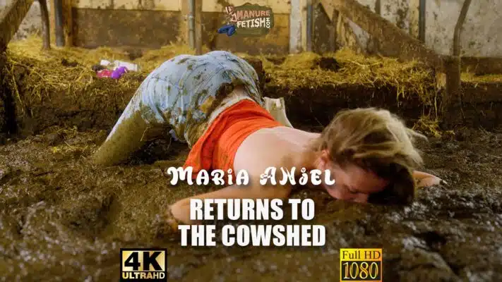 Maria Anjel Returns To The Cowshed Trailer