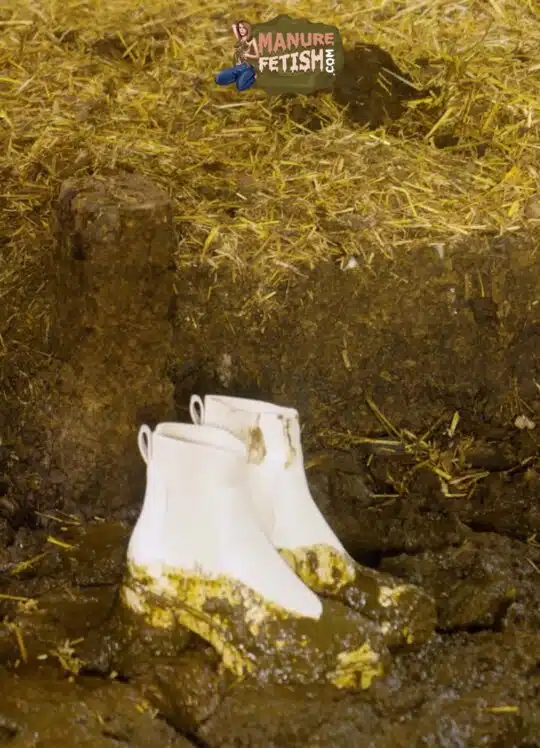 Maria Anjel´s Ankle Boots - Image 4
